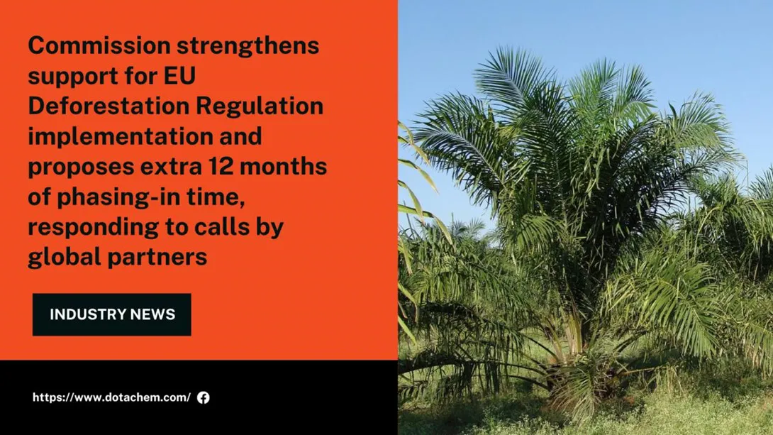 Umthelela we-EU Deforestation Regulation on Raw Material Prices: Ukuzulazula Ezindlekweni Ezikhuphukayo Zamafutha Esundu zama-Fatty Alcohol Ethoxylates