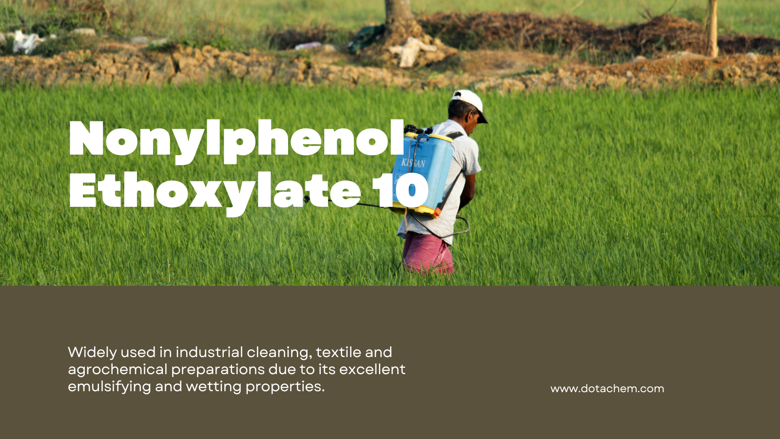 Dotachem International Supply | I-NPE10 umhlahlandlela wobuchwepheshe: Izici, izinhlelo zokusebenza kanye nezixazululo zomhlaba