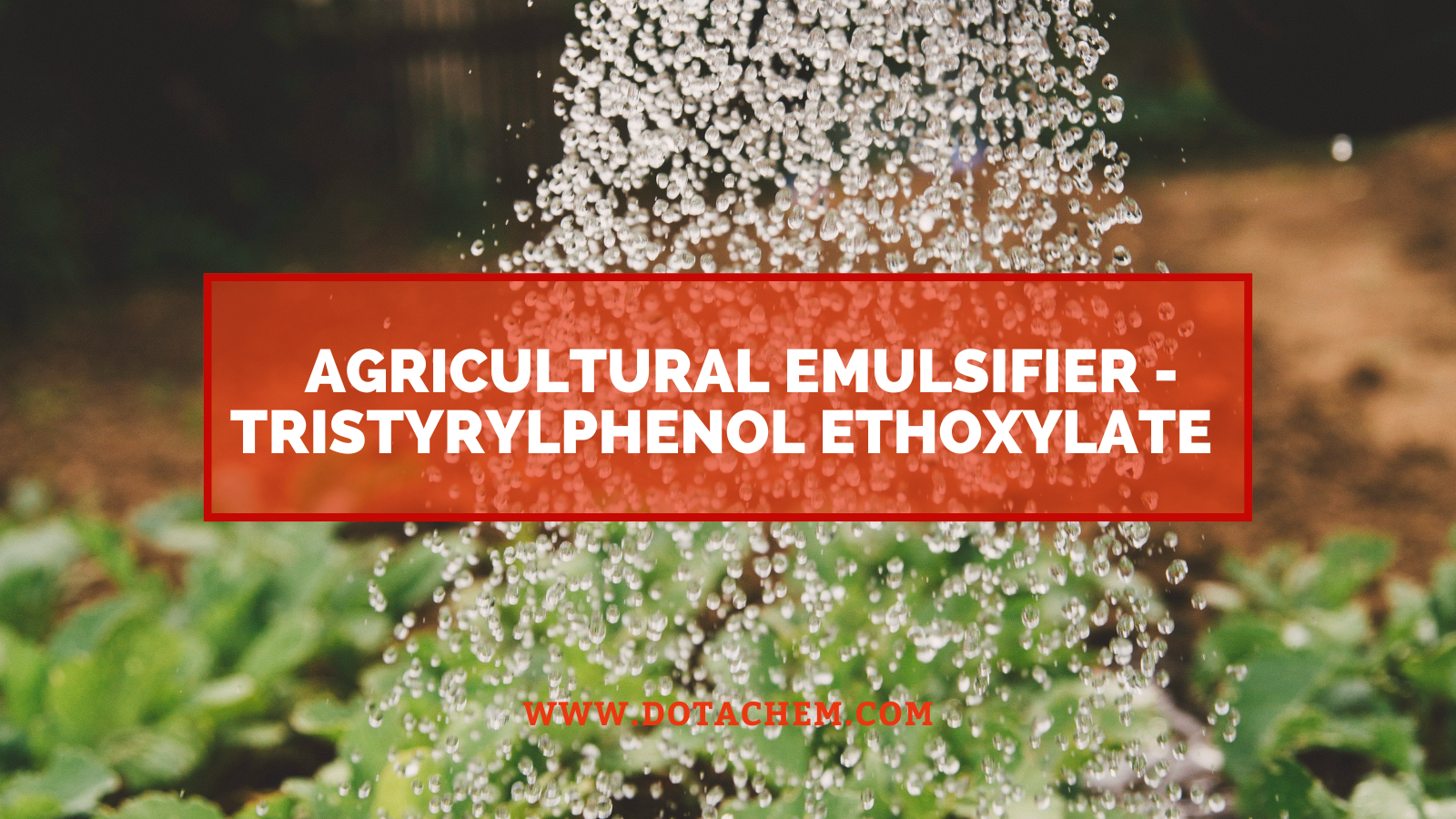 Ukukhetha okusha kwe-Emulsifier yezoLimo - I-Tristyppheches's Tristyplenol ethoxylate ihlinzekwa kahle!