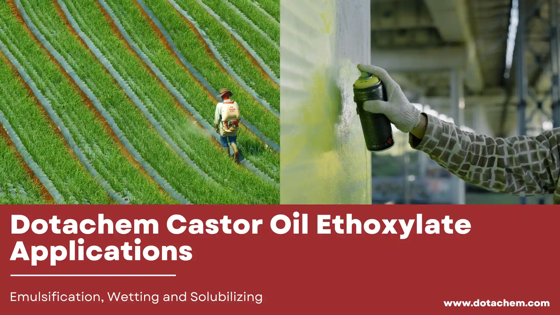 Izicelo ze-Dotachem Castor Oil Ethoxylate ku-Emulsification, Ukumanzisa kanye ne-Solubilizing