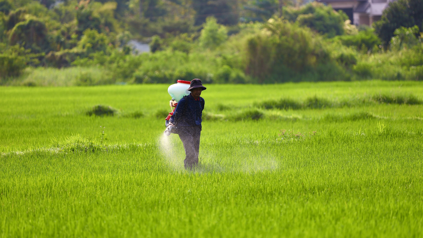 Isetshenziselwa ini i-Monoethanolamine kuma-Agrochemicals?